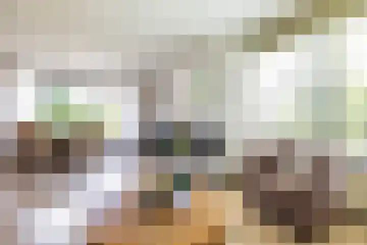 Nico Rostlaan 3 Groningen thumbnail 13