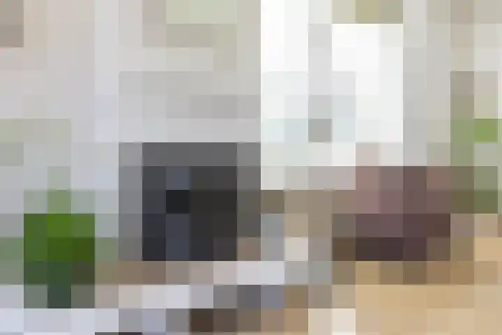 Nico Rostlaan 3 Groningen thumbnail 15