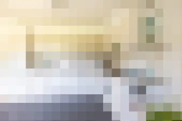 Nico Rostlaan 3 Groningen thumbnail 23