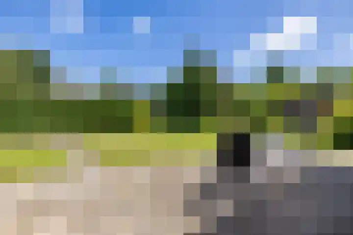 Nico Rostlaan 3 Groningen thumbnail 30