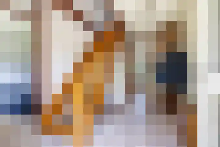 Nico Rostlaan 3 Groningen thumbnail 34