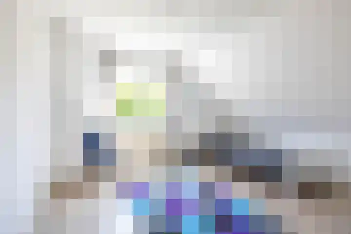 Nico Rostlaan 3 Groningen thumbnail 36
