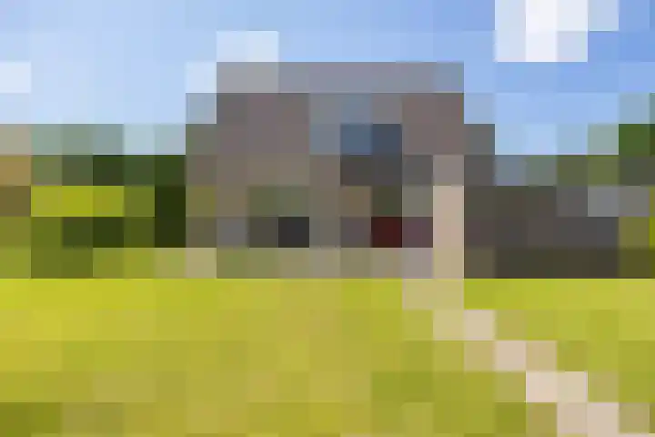 Nico Rostlaan 3 Groningen thumbnail 46