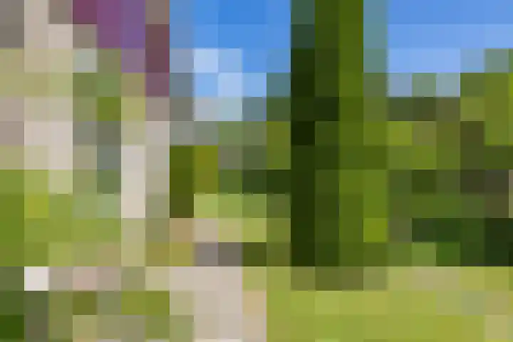 Nico Rostlaan 3 Groningen thumbnail 47