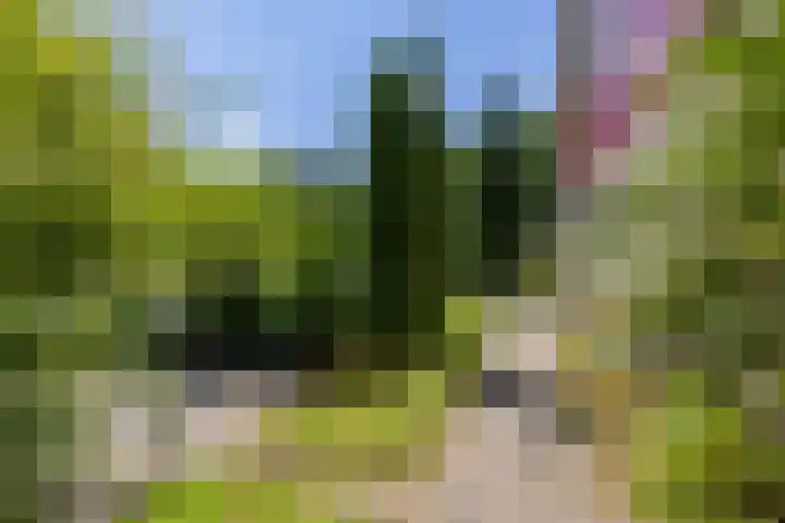 Nico Rostlaan 3 Groningen thumbnail 49