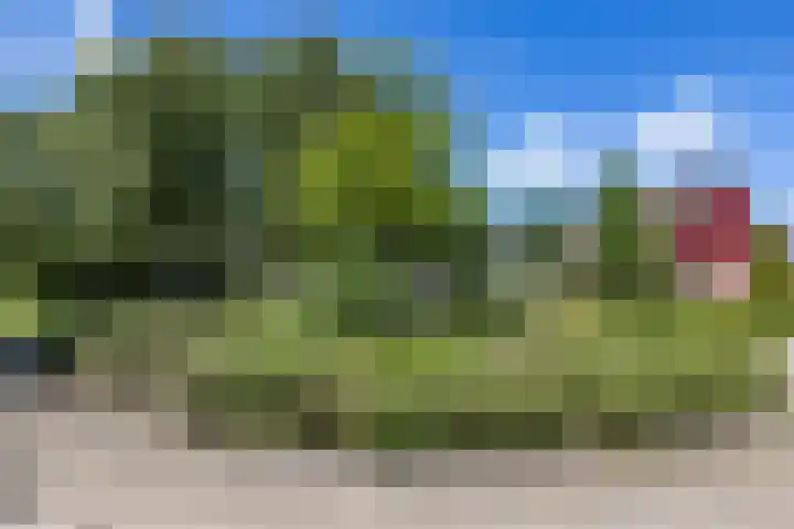 Nico Rostlaan 3 Groningen thumbnail 51