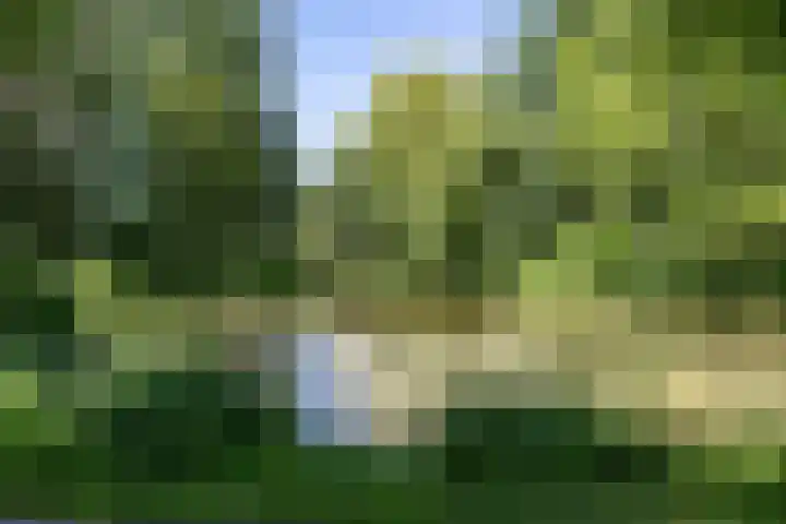 Nico Rostlaan 3 Groningen thumbnail 52