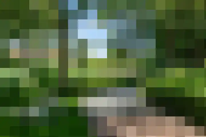 Nico Rostlaan 3 Groningen thumbnail 53