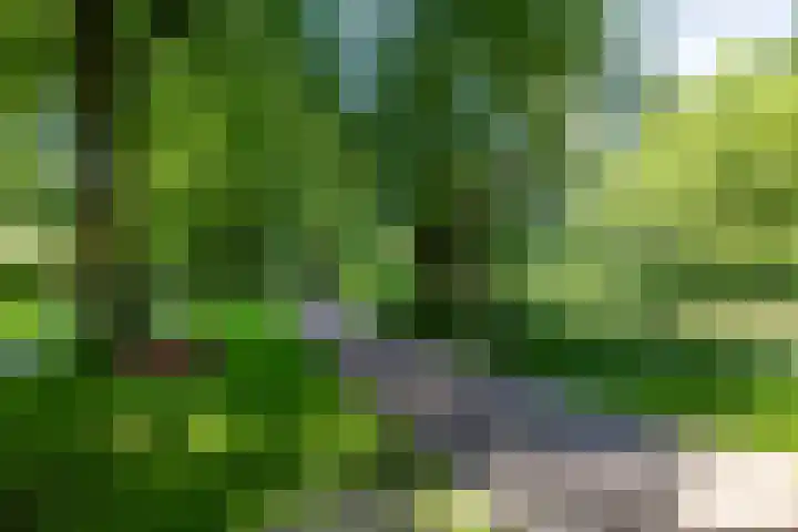 Nico Rostlaan 3 Groningen thumbnail 54