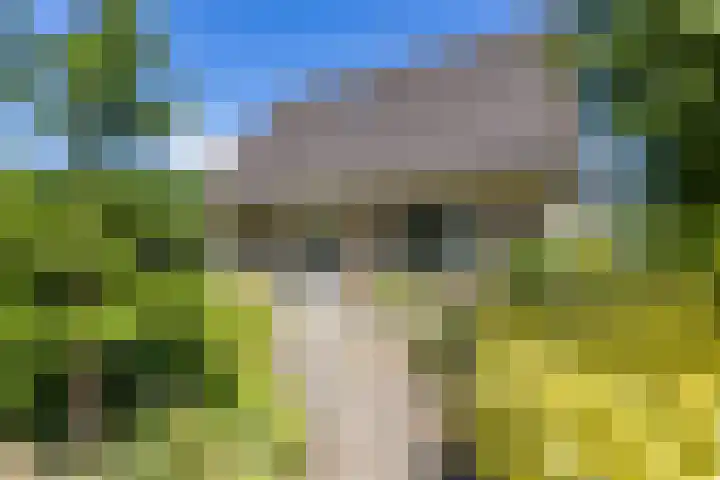 Nico Rostlaan 3 Groningen thumbnail 59
