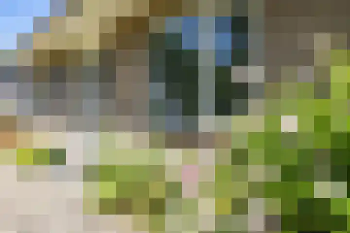 Nico Rostlaan 3 Groningen thumbnail 7