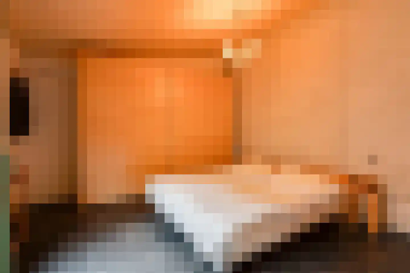 Nico Scheepmakerpad 6 Culemborg thumbnail 19