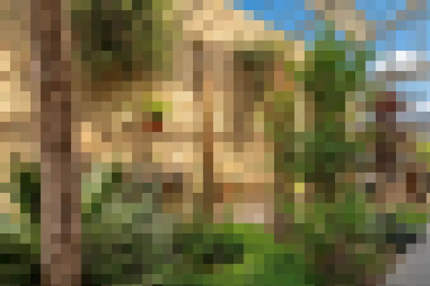 Nico Scheepmakerpad 6 Culemborg thumbnail 31