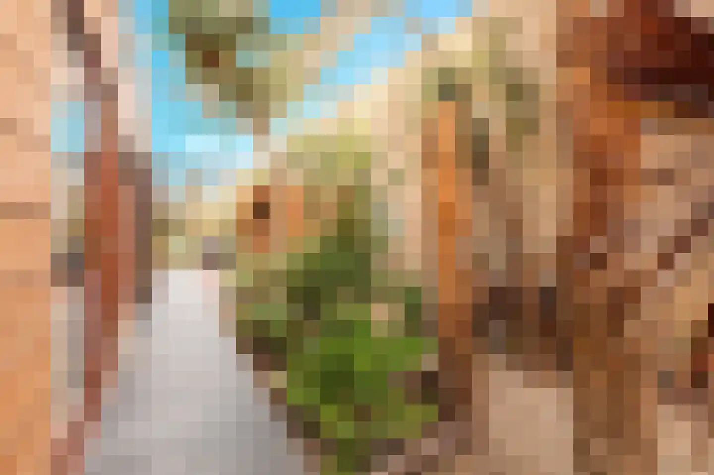 Nico Scheepmakerpad 6 Culemborg thumbnail 32