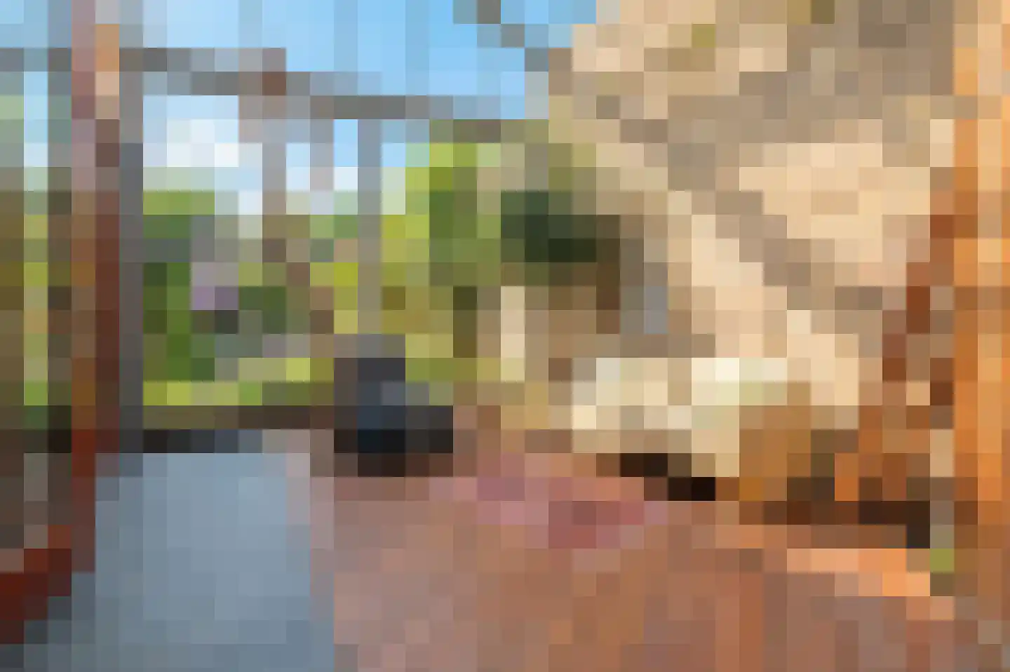Nico Scheepmakerpad 6 Culemborg thumbnail 34