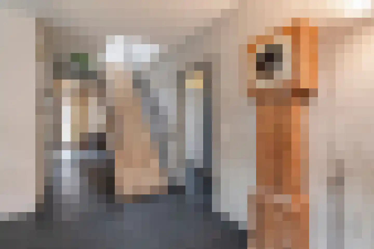 Nico Scheepmakerpad 6 Culemborg thumbnail 38