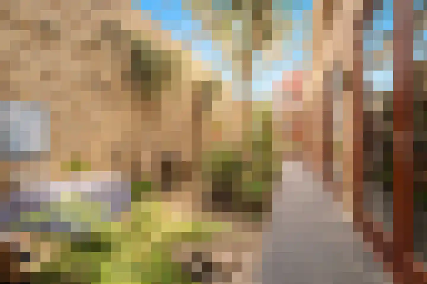 Nico Scheepmakerpad 6 Culemborg thumbnail 4