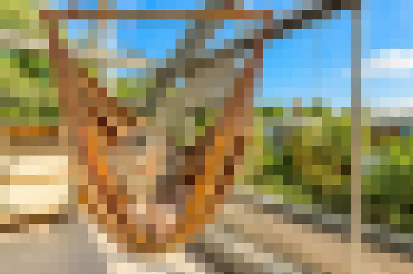 Nico Scheepmakerpad 6 Culemborg thumbnail 50