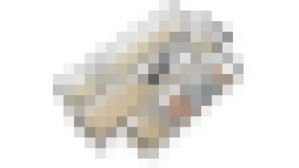Nico Scheepmakerpad 6 Culemborg thumbnail 52