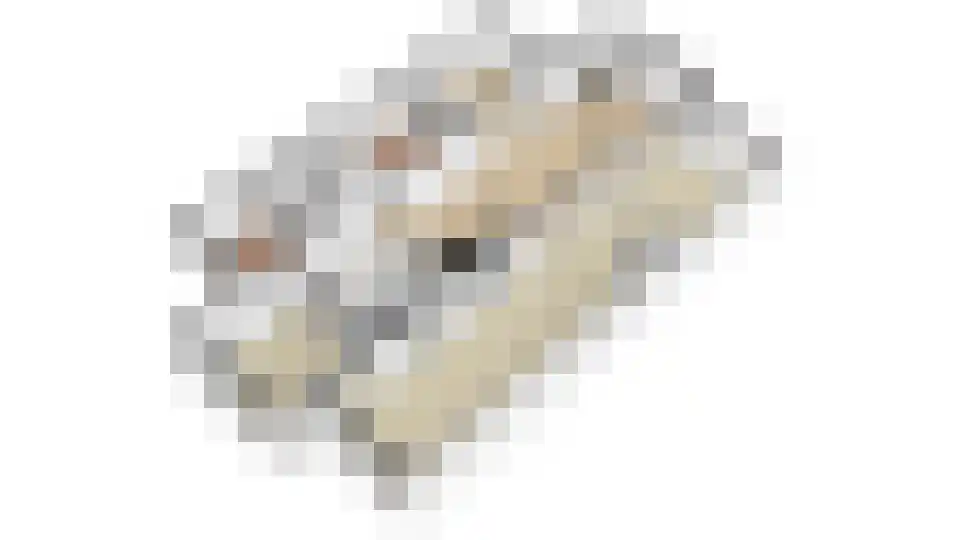 Nico Scheepmakerpad 6 Culemborg thumbnail 53