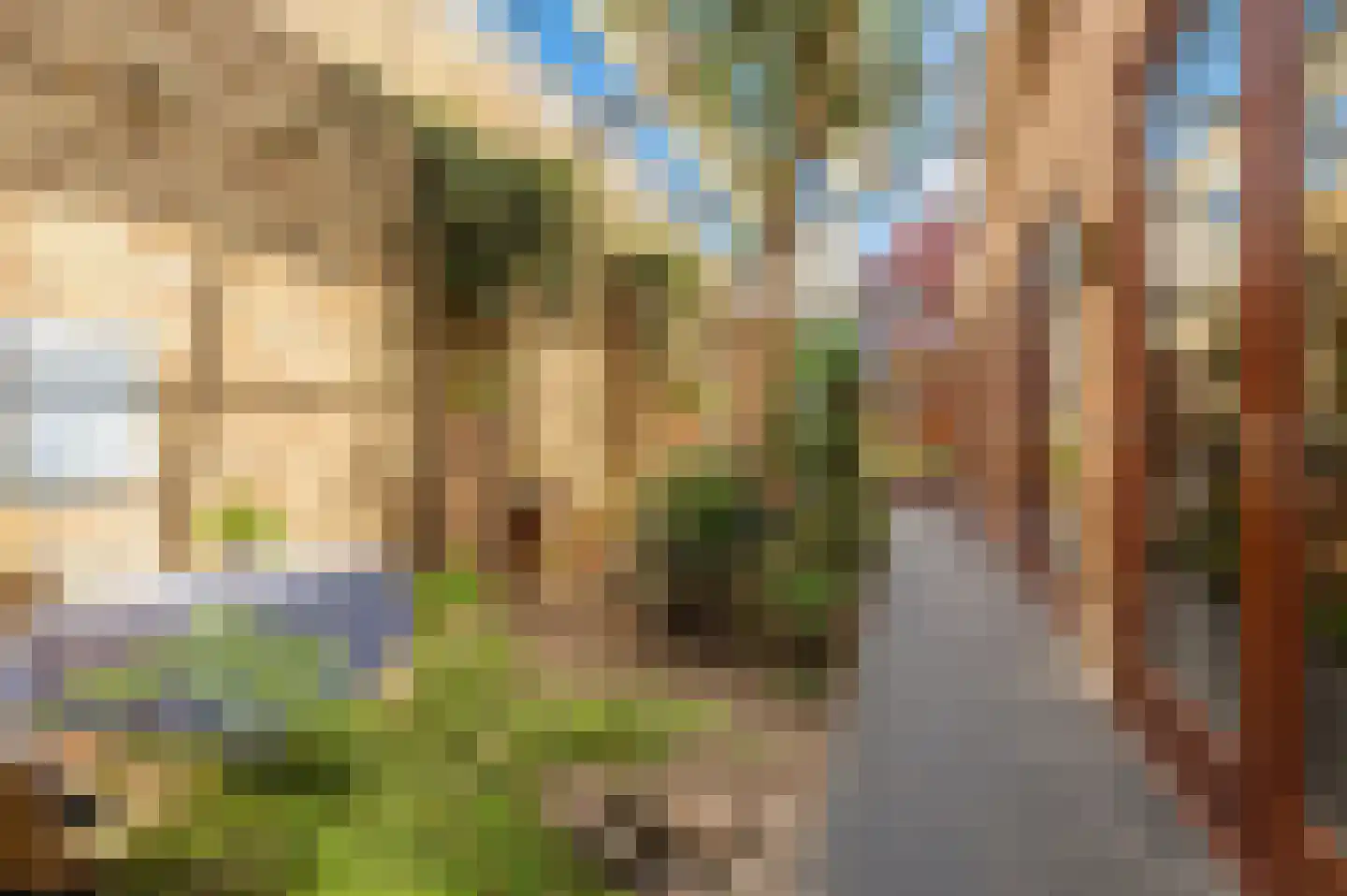 Nico Scheepmakerpad 6 Culemborg thumbnail 7