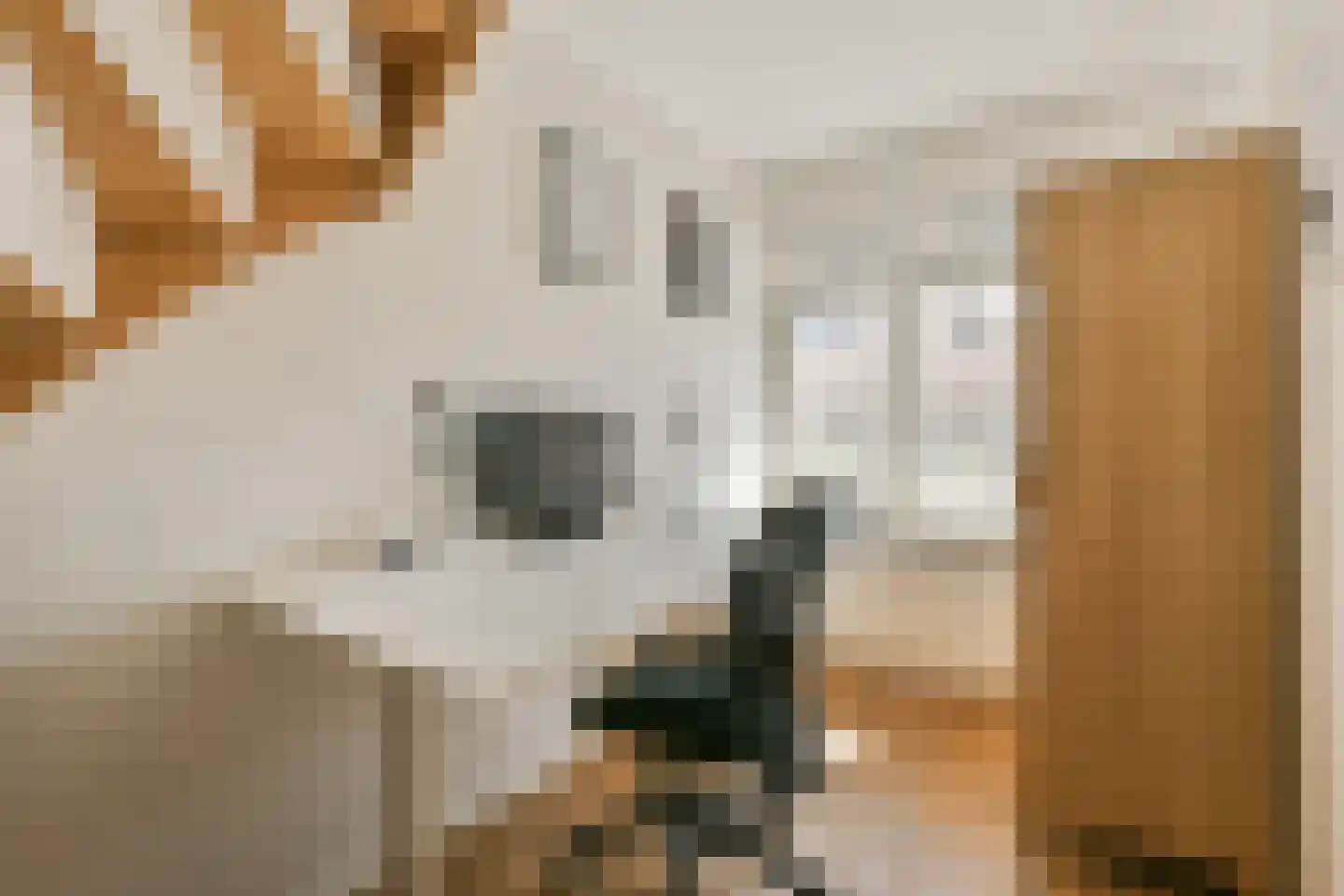 Nico Snijdersstraat 22 Amsterdam thumbnail 15