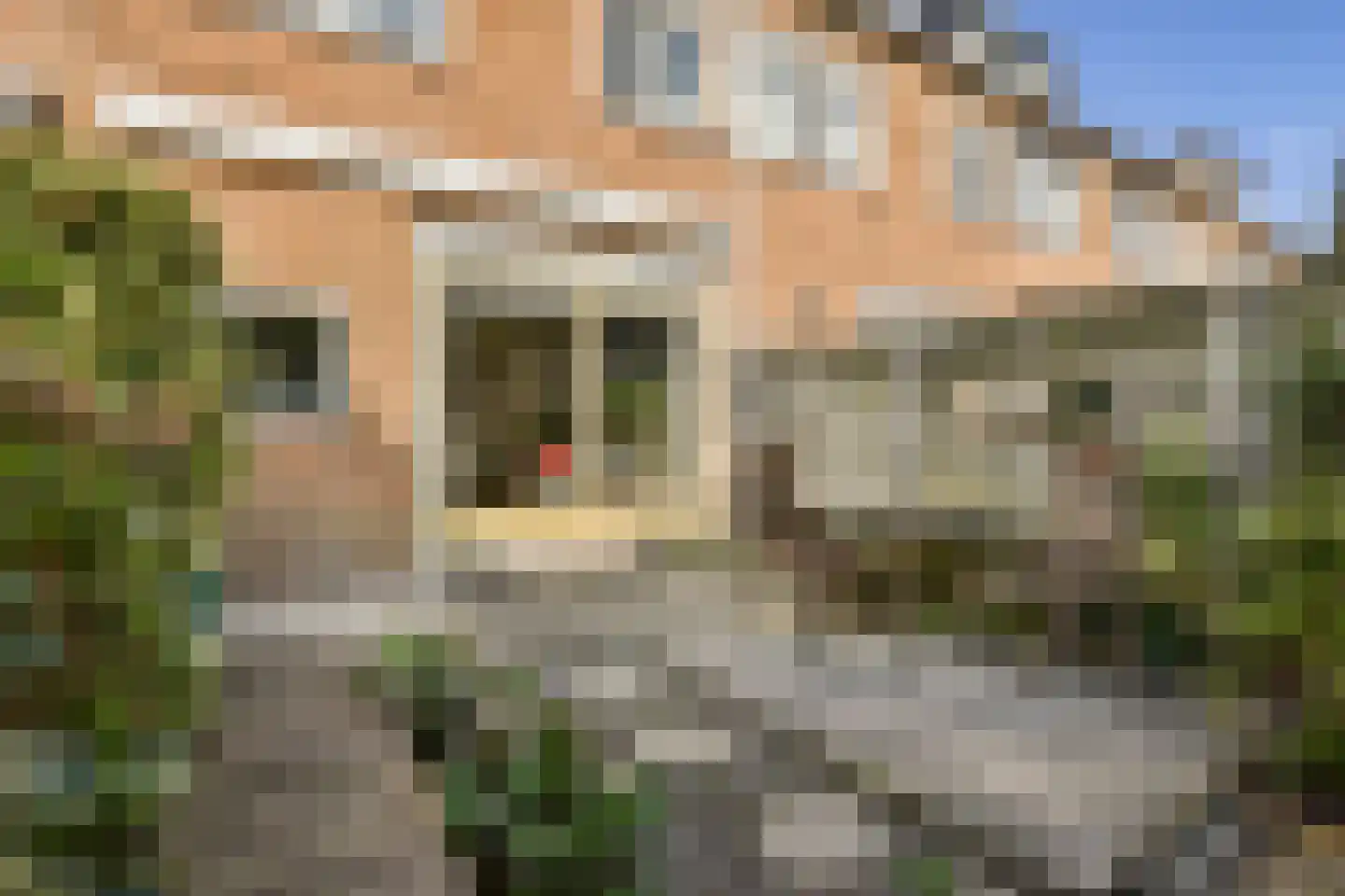 Nico Snijdersstraat 23 Amsterdam thumbnail 10