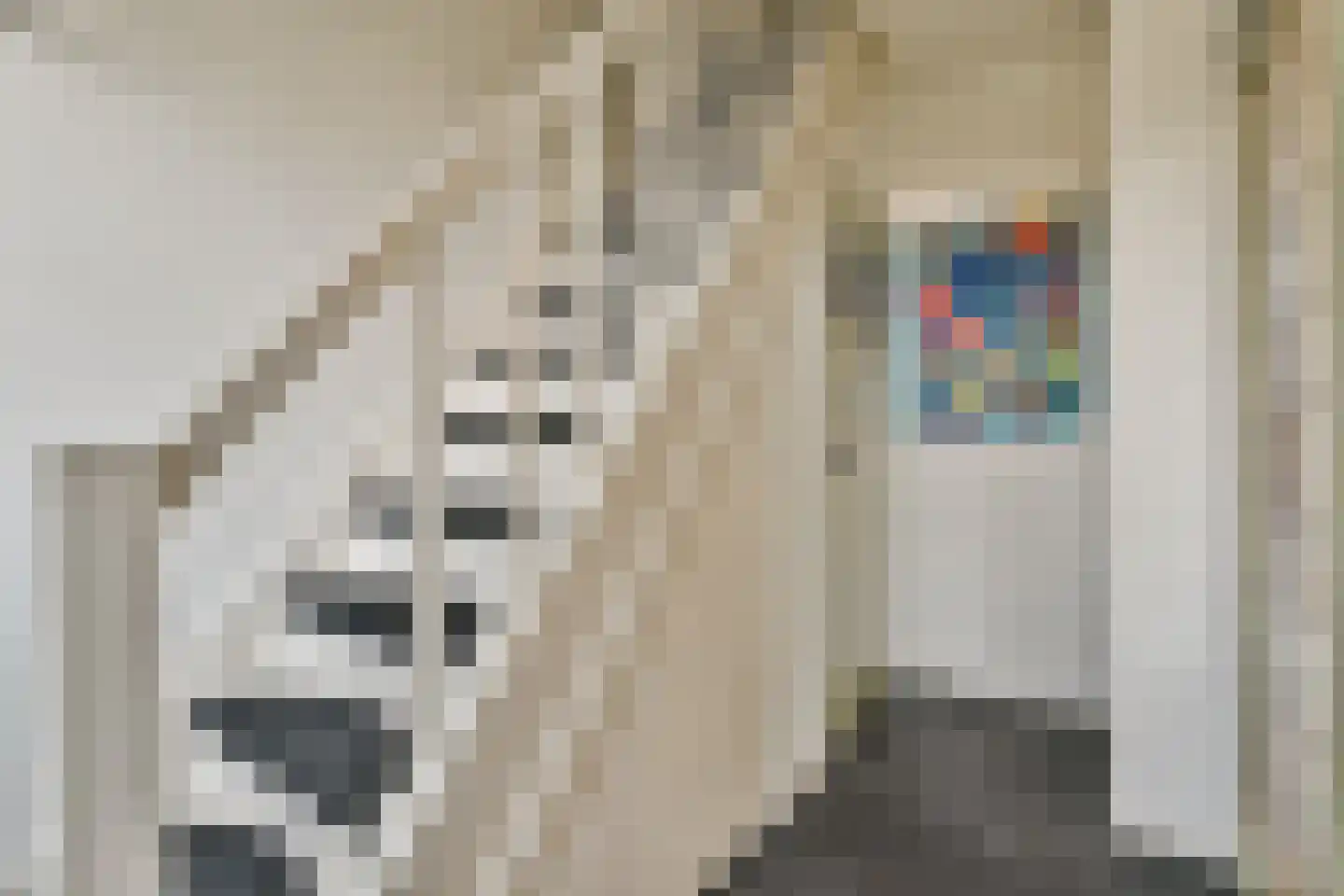 Nico Snijdersstraat 23 Amsterdam thumbnail 14