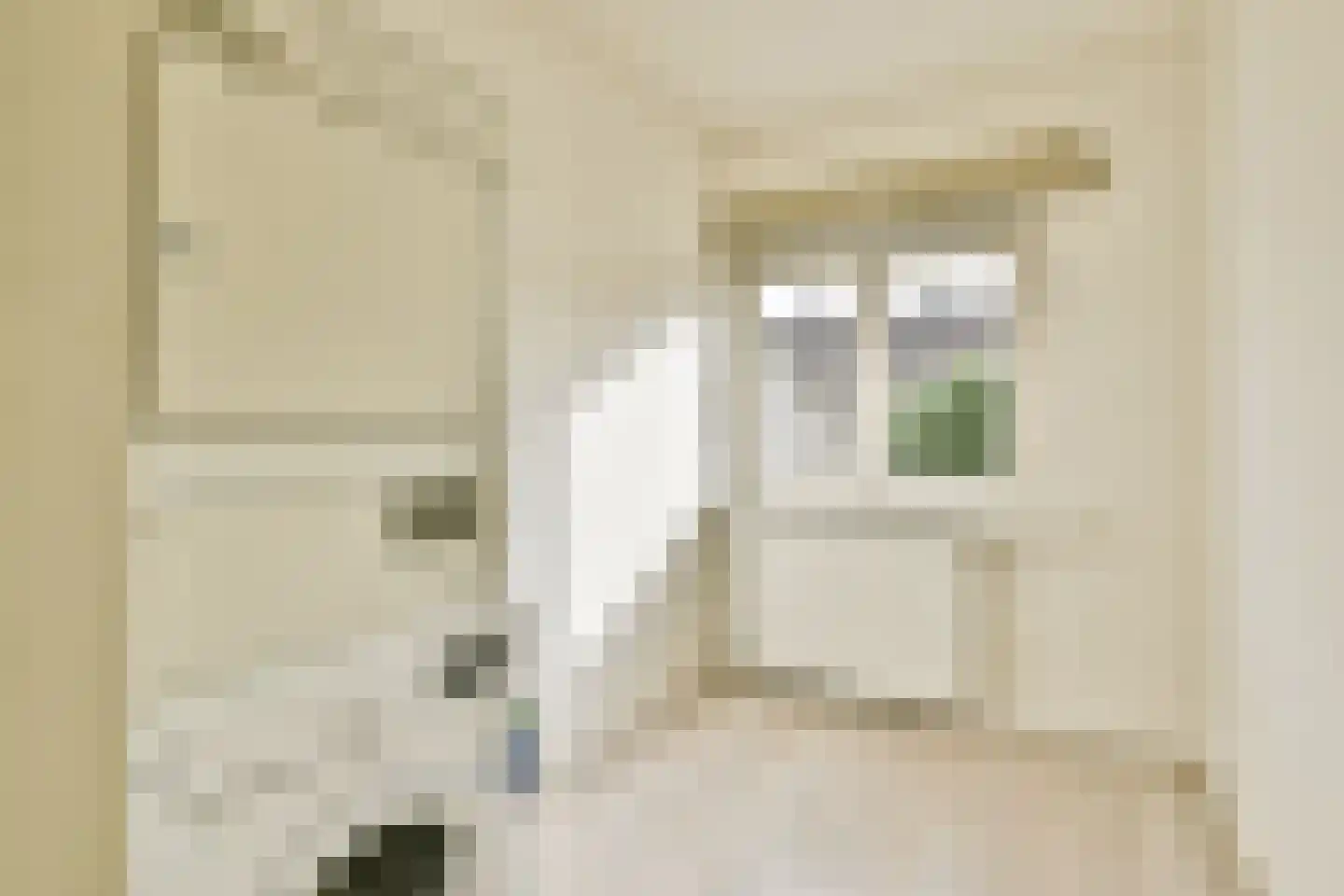 Nico Snijdersstraat 23 Amsterdam thumbnail 22