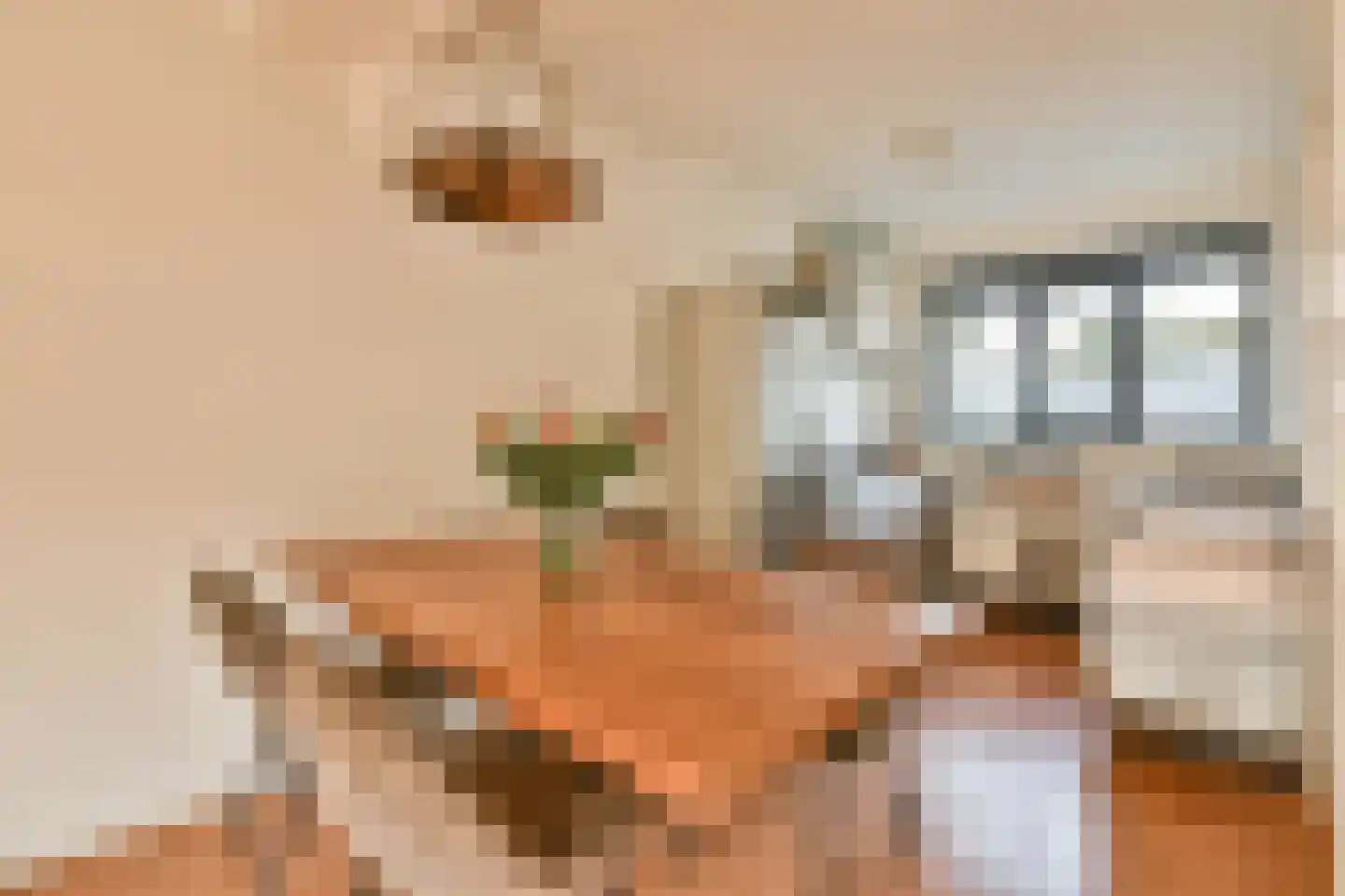 Nico Snijdersstraat 23 Amsterdam thumbnail 4