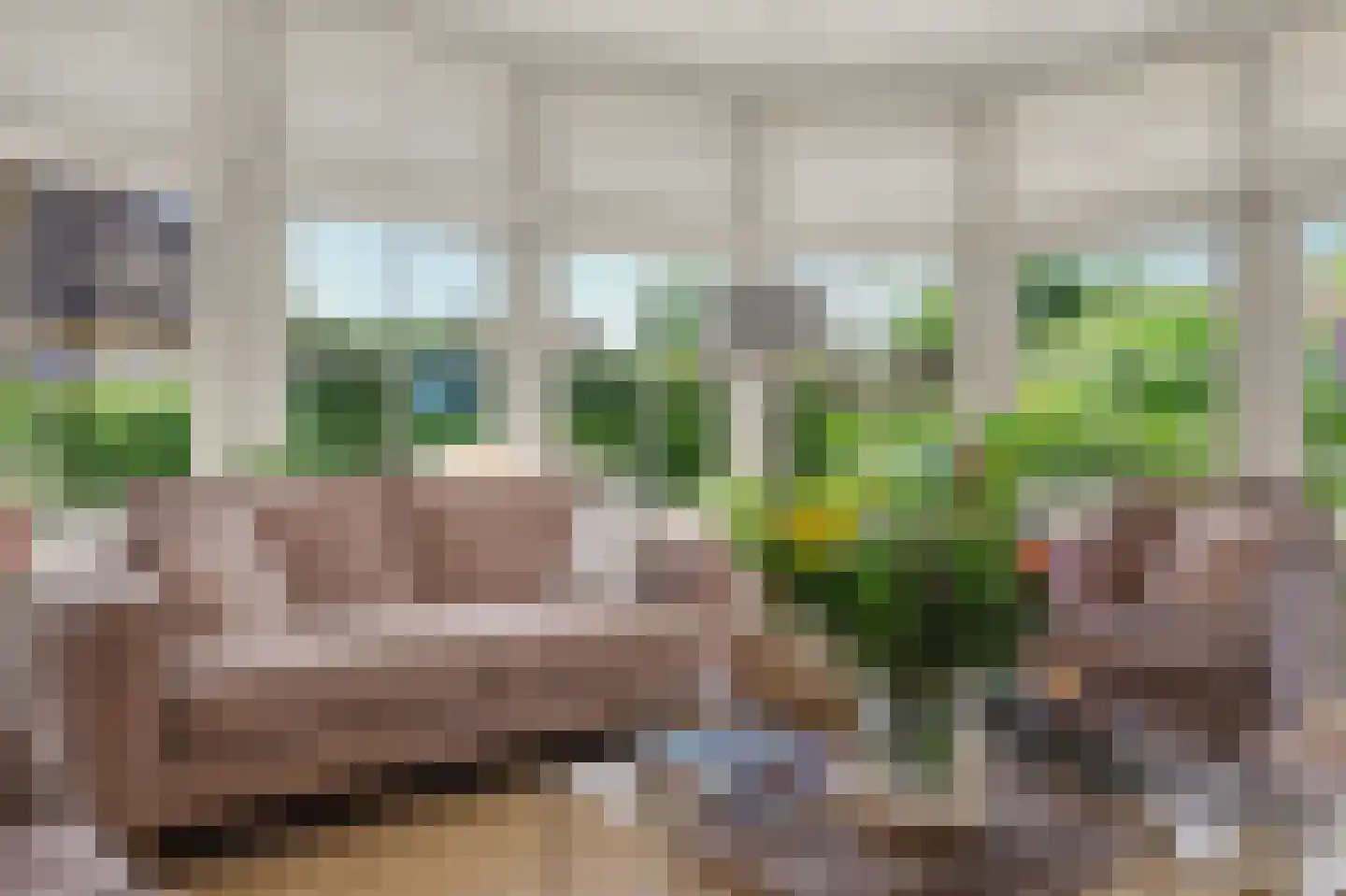 Nico Staalstraat 5 Hank thumbnail 12