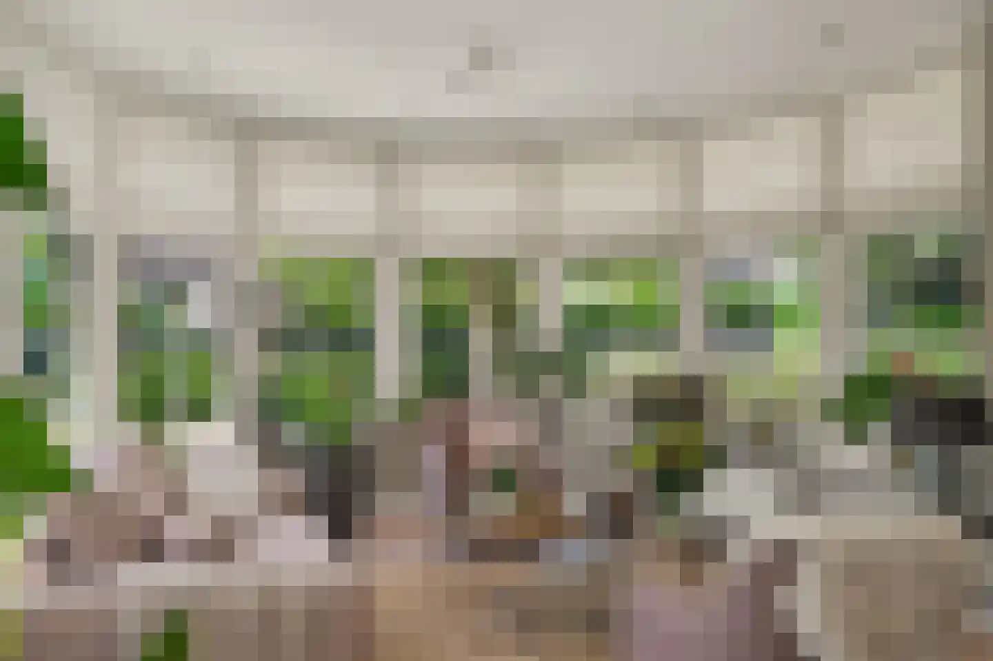 Nico Staalstraat 5 Hank thumbnail 13