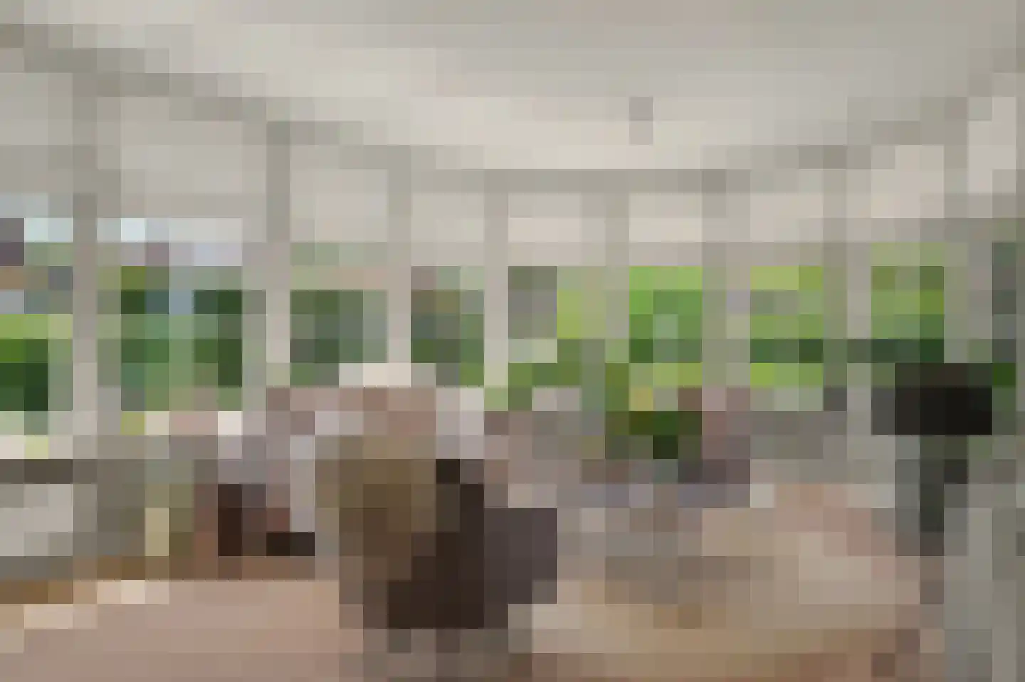 Nico Staalstraat 5 Hank thumbnail 14