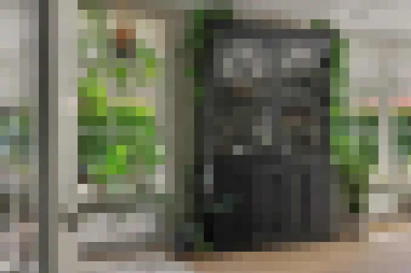 Nico Staalstraat 5 Hank thumbnail 15