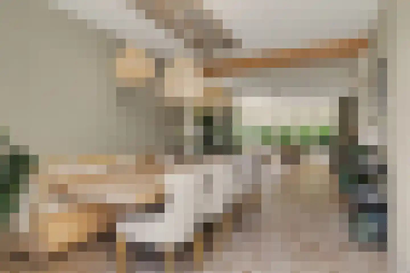 Nico Staalstraat 5 Hank thumbnail 17