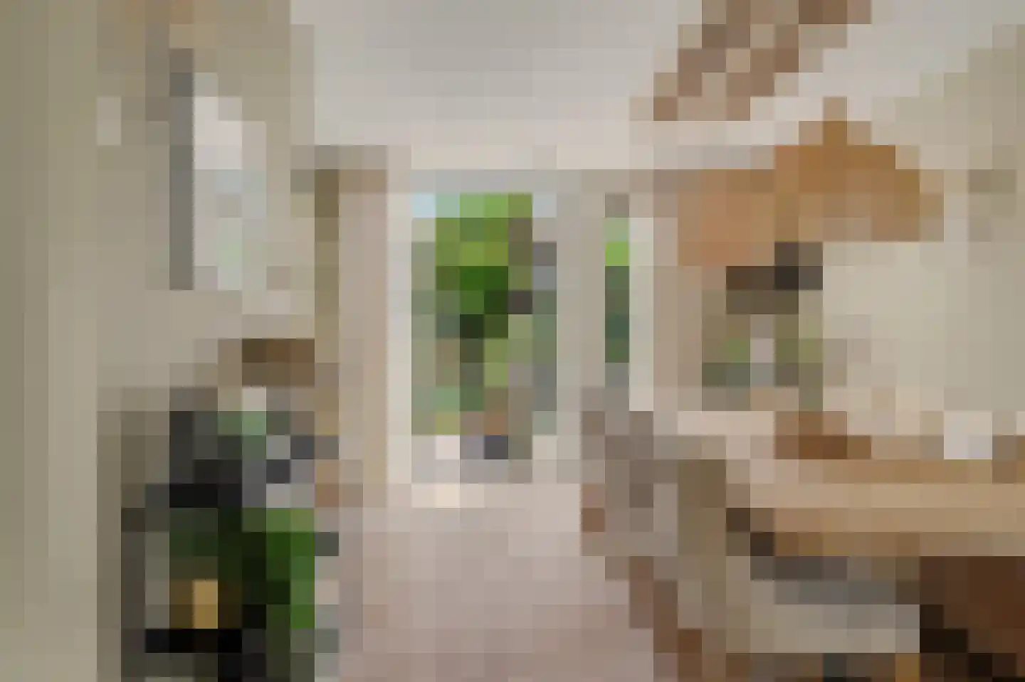 Nico Staalstraat 5 Hank thumbnail 18