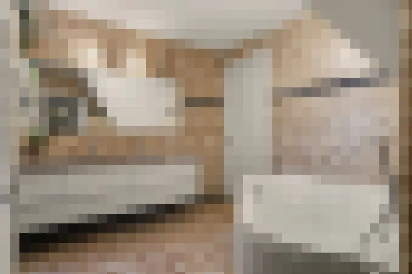 Nico Staalstraat 5 Hank thumbnail 34