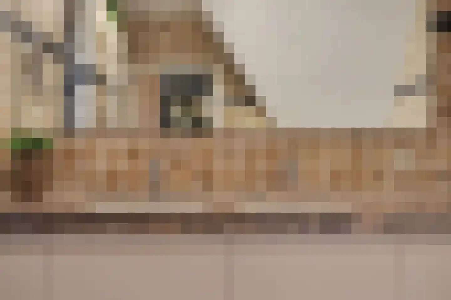 Nico Staalstraat 5 Hank thumbnail 35