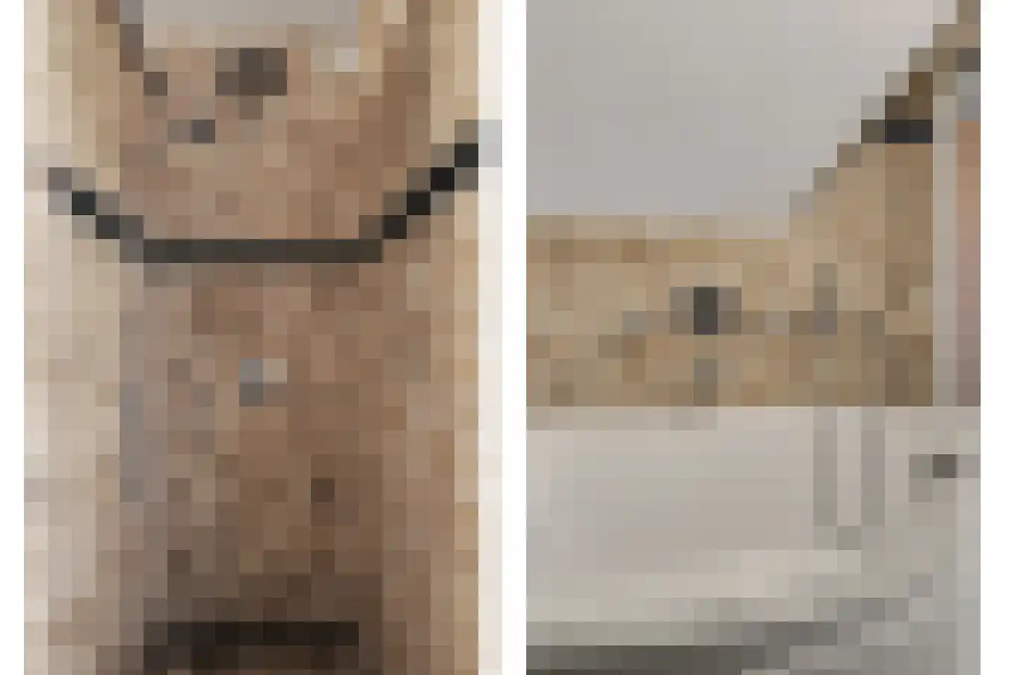 Nico Staalstraat 5 Hank thumbnail 37
