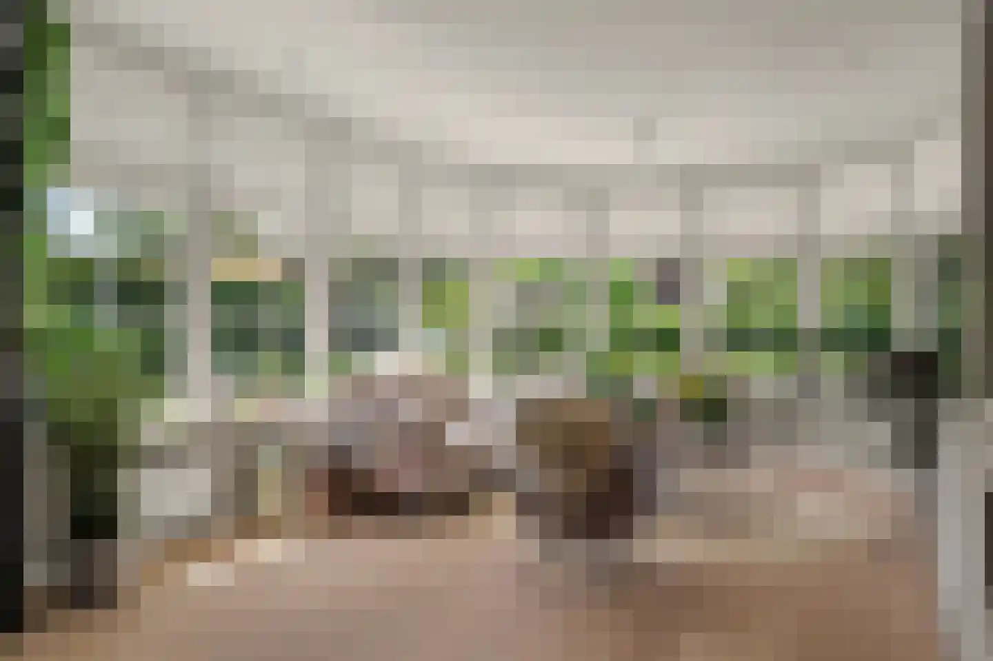 Nico Staalstraat 5 Hank thumbnail 6