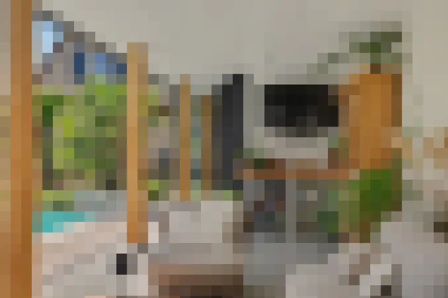 Nico Staalstraat 5 Hank thumbnail 61