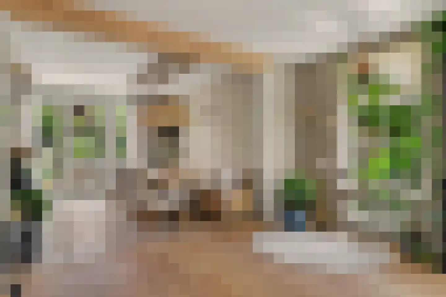 Nico Staalstraat 5 Hank thumbnail 7
