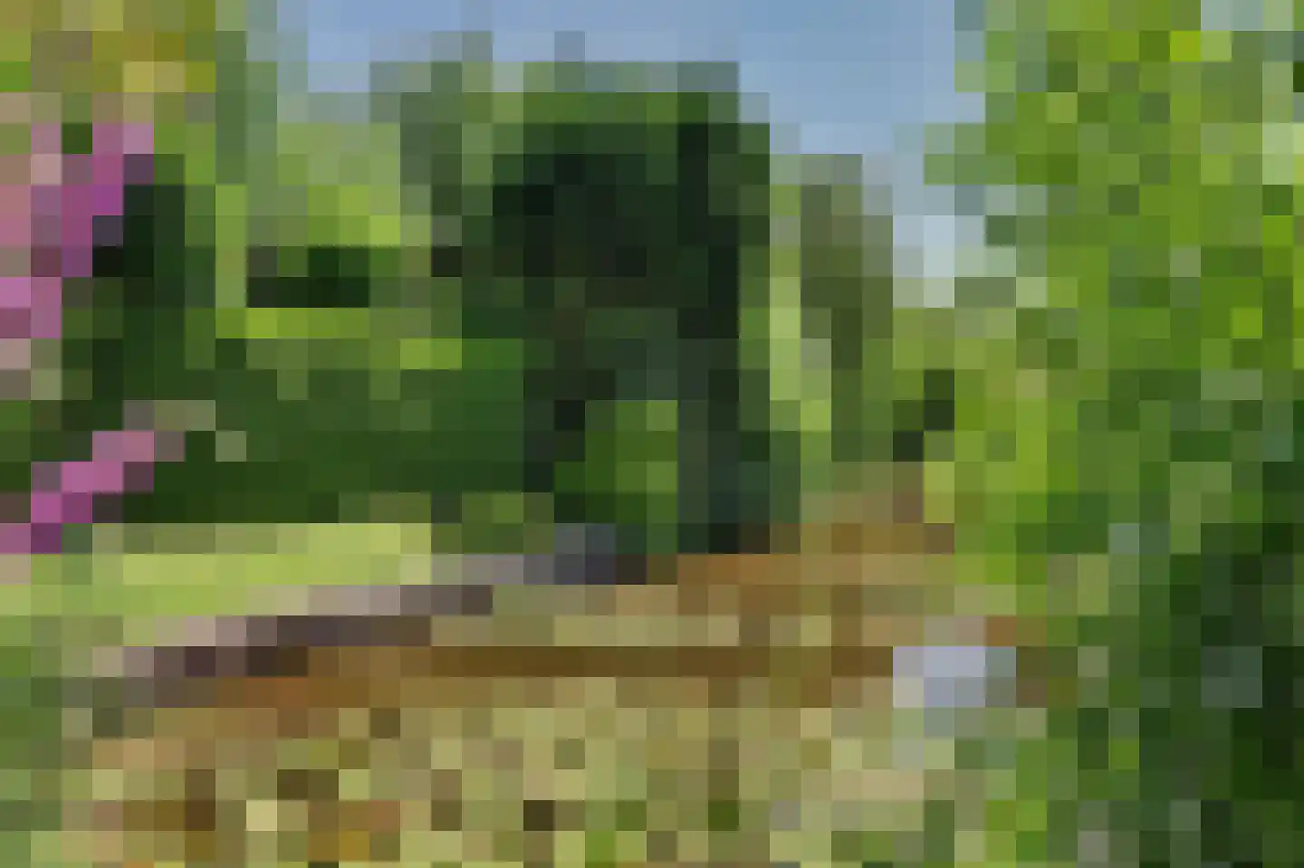 Nico Staalstraat 5 Hank thumbnail 70
