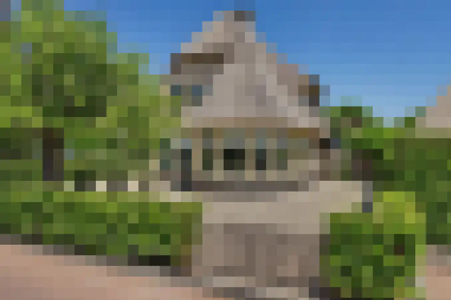 Nico Staalstraat 5 Hank thumbnail 74