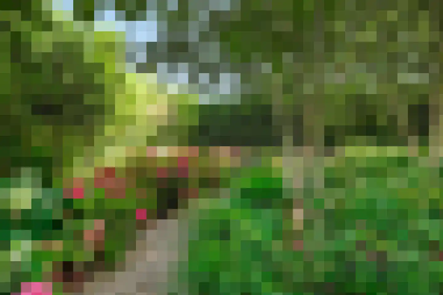 Nico Staalstraat 5 Hank thumbnail 80