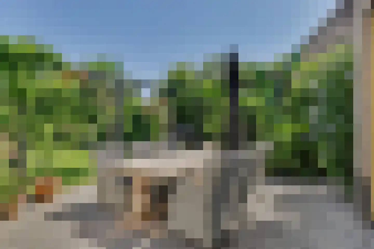 Nico Staalstraat 5 Hank thumbnail 82