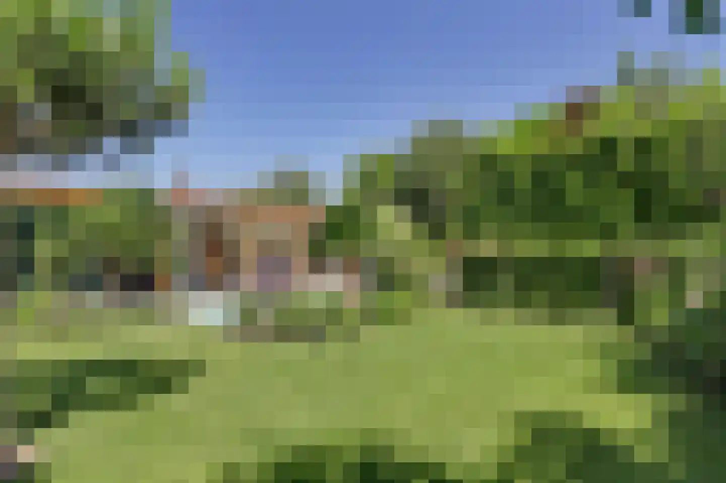 Nico Staalstraat 5 Hank thumbnail 84