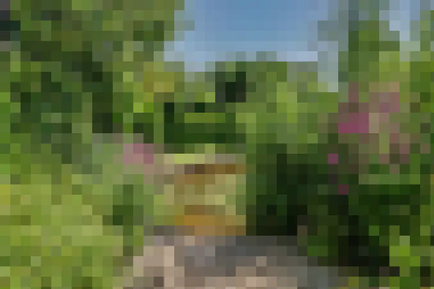 Nico Staalstraat 5 Hank thumbnail 87