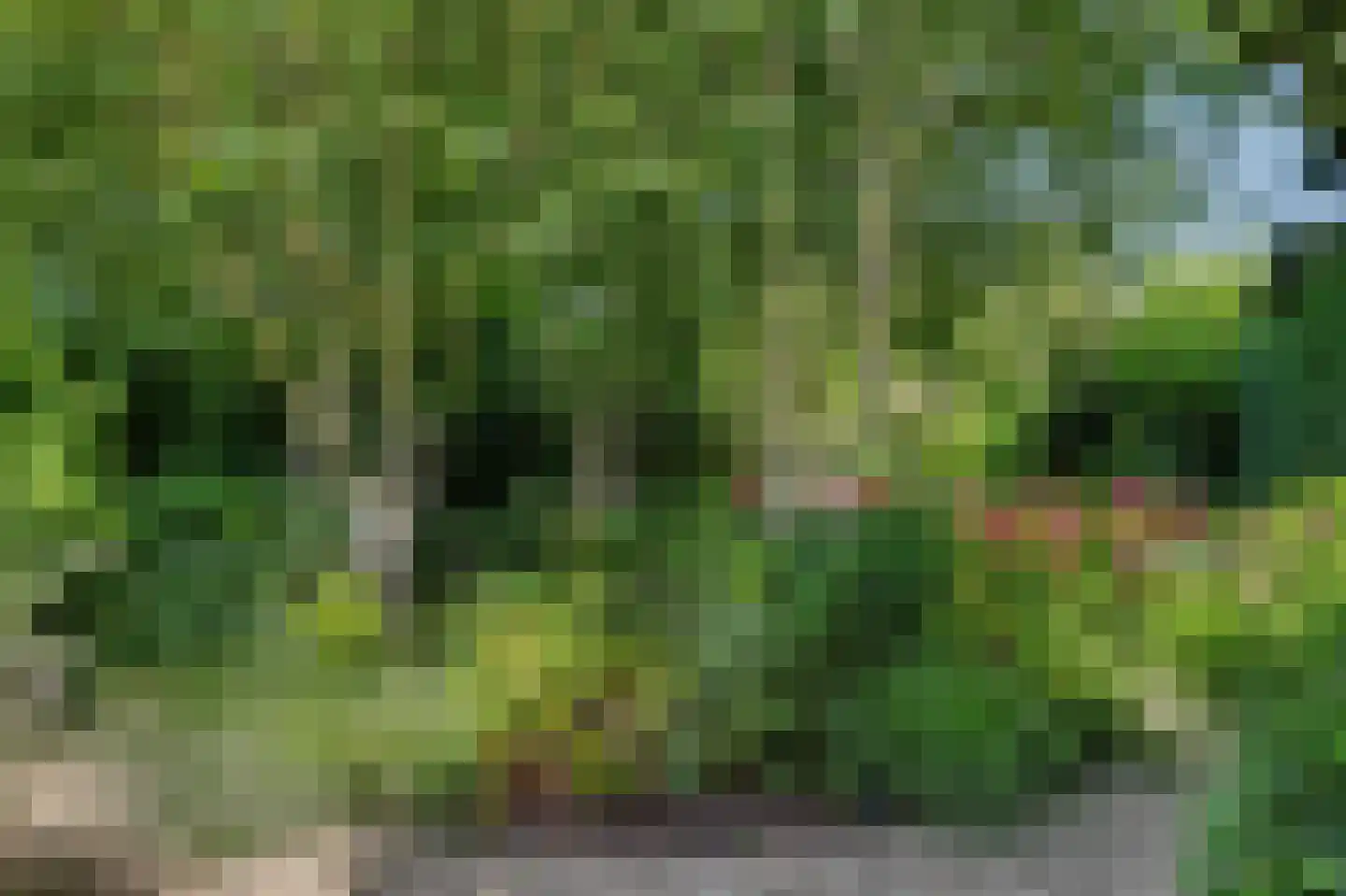Nico Staalstraat 5 Hank thumbnail 88