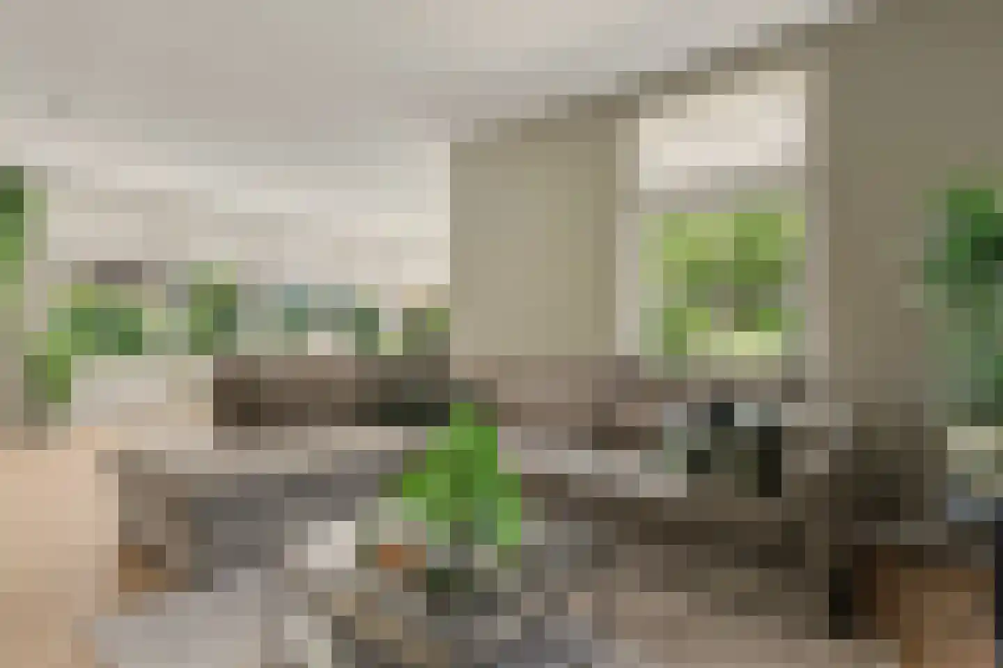 Nico Staalstraat 5 Hank thumbnail 9